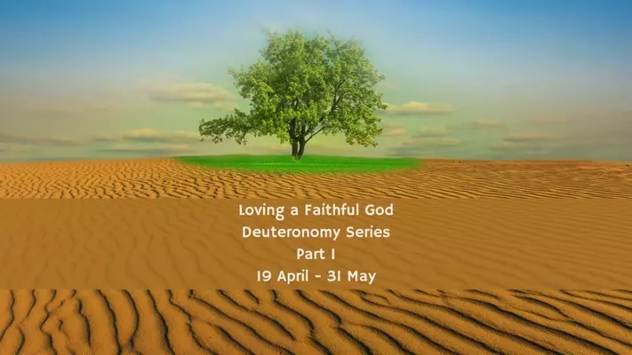 Sunday Morning Sereis